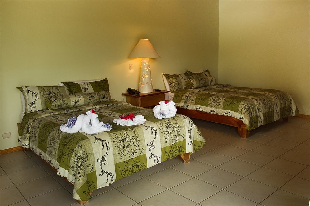 Ficus Lodge Monteverde 外观 照片